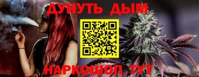 сатива Кунгур