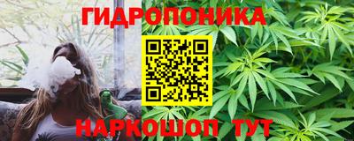 сатива Кунгур