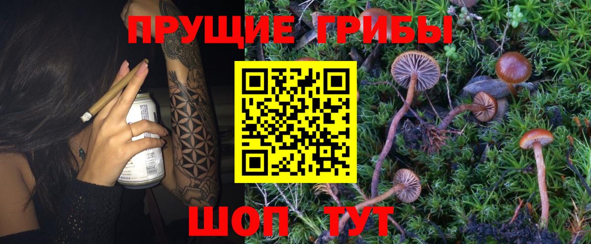 Псилоцибиновые грибы GOLDEN TEACHER Шахты