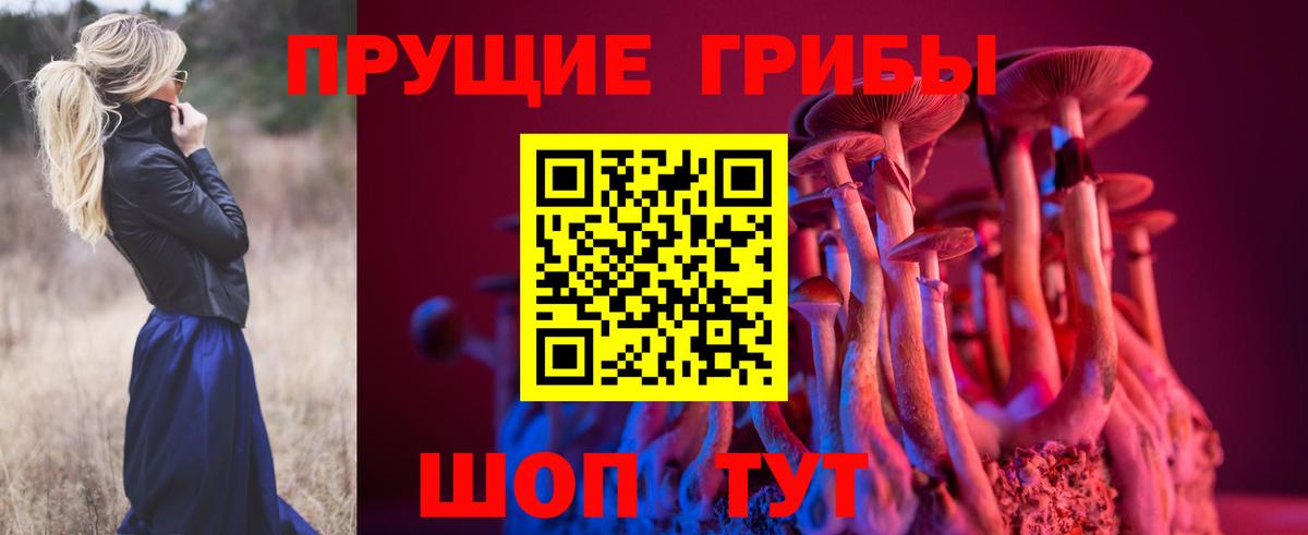 Галлюциногенные грибы Cubensis  Псилоцибиновые грибы MAGIC MUSHROOMS  Вход с VPN  Шахты 